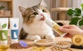 化毛膏怎么选品牌？不同成分适合不同猫