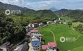 江西德兴：稻田青绿山水如画（图）