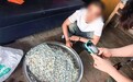 谯城警方缴获重达45公斤手机卡，足足40余万张！