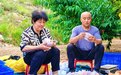 【甘快看】蜜桃“出圈记”　兰州皋兰什川镇蜜桃产业升级香飘市场
