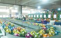 定南：“足球+”全产业链激活县域发展动能（图）