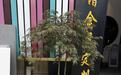 和谐金属定制