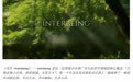 《共生·Interbeing》装置艺术品介入临床心理辅助治疗的初步探析