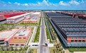 国缘品质溯源：产区工艺与场景化品牌表达