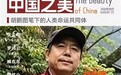 胡鹏图 | 美是跨越国界的拥抱 构建人类命运共同体