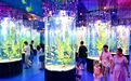 水族探秘（图）