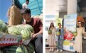 10吨西瓜暖人心！认养一头牛公益助农，温情传递夏日暖意
