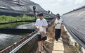 从棚舍管护到市集展销 渤海大学学子解锁前杜新村热带鱼产业振兴密码