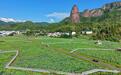 石城县：和美乡村景象新（图）