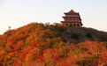 辽宁海棠山景区因蜂患临时闭园