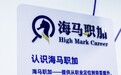 行业导师入局，留学生求职辅导的“价值标尺”正被重新刻度