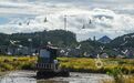 遂川县：白鹭伴夏耕（图）
