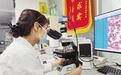 15分钟优质中医药服务圈来了　兰州人家门口看名医