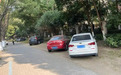 占一平米罚款500-1000元，芜湖市开展绿化带乱停车专项整治