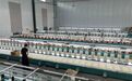 枣庄：宠物玩具小产业撬动大市场