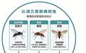 暴雨洪涝灾后要注意啥　本月健康提示快码住