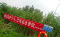 宿州市埇桥区曹村镇：筑牢安全防线，守护生命港湾