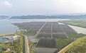 九江：渔光互补 生态惠民（图）
