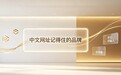 极简字符铸就数字门牌：解析中文域名“9.网址与A.网址”的资产价值