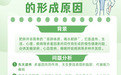 科学拆解肥胖的形成原因