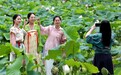 宜丰县：荷香醉游人（图）