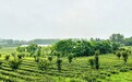 全国生态日丨踏遍青山“建”行处，绿美江苏入画来