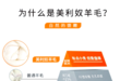 应对秋冬过渡季温差挑战：从着装困境到功能面料的系统性解决方案