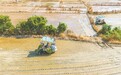 都昌县：晚稻插秧（图）