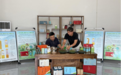 河北涞水：太行深山育金叶