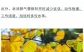 掌握这三句口诀　立秋后轻松养生