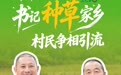 幸福生活开村播丨丰宁庙沟村：书记“种草”家乡 村民争相引流