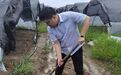 迎战 “白海豚”，国元保险安徽分公司火速行动（二）