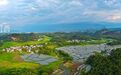 上饶铅山：产业兴 乡村美（图）