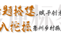 “百亿粮仓”→“千亿厨房”，这波亳州乡村振兴Passion拉满！