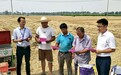 中国移动安徽公司淮北分公司：深耕基层网格，让便民服务扎根淮北乡野