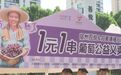 宿州市埇桥区：“葡”写青春 益满埇桥
