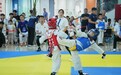 2026第六届（烟台）“一汽悦意”杯中韩国际跆拳道公开赛盛大启幕