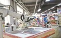 上犹县以匹克球激活县域经济发展新动能 上半年接待游客595.8万人次