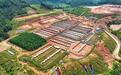 南丰龟鳖种源保护基地加紧建设