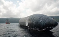 历经24天海上拖拽，SpaceX星舰40号飞船抵达圣诞岛近海
