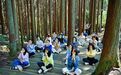 联合国嘉宾齐聚江津四屏：见证一片森林如何“治愈”世界