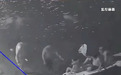 鹰潭信江4人意外溺水，铁路职工两度逆行入水，体力透支连救3名落水儿童
