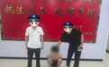 四个月作案27次！安徽一男子终因“蚂蚁搬家”式盗窃落网