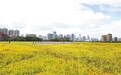 南昌市投书浦公园基本完工 预计近期将正式向市民开放