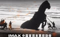 《奥德赛》IMAX“一票难求”，创诺兰电影IMAX中国市场最佳开画票房及占比纪录
