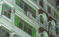 八旬老人筑巢守护“小邻居”四年