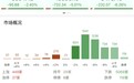 收评：创业板指低开低走跌超6%，全市场逾百股跌停