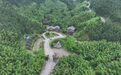 蓝山县惠民赋能避暑游 文旅消费热力全开