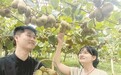 奉新县：激活商会力量 赋能乡村振兴（图）