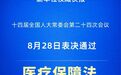 表决通过！医疗保障法 2027年1月1日起施行